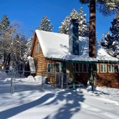 Beautiful cabin in the woods near Big Bear