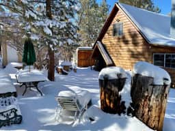 Beautiful cabin in the woods near Big Bear - Image 2